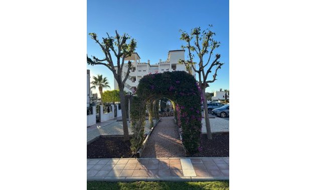 Resale - Apartment / flat -
Orihuela Costa - Campoamor