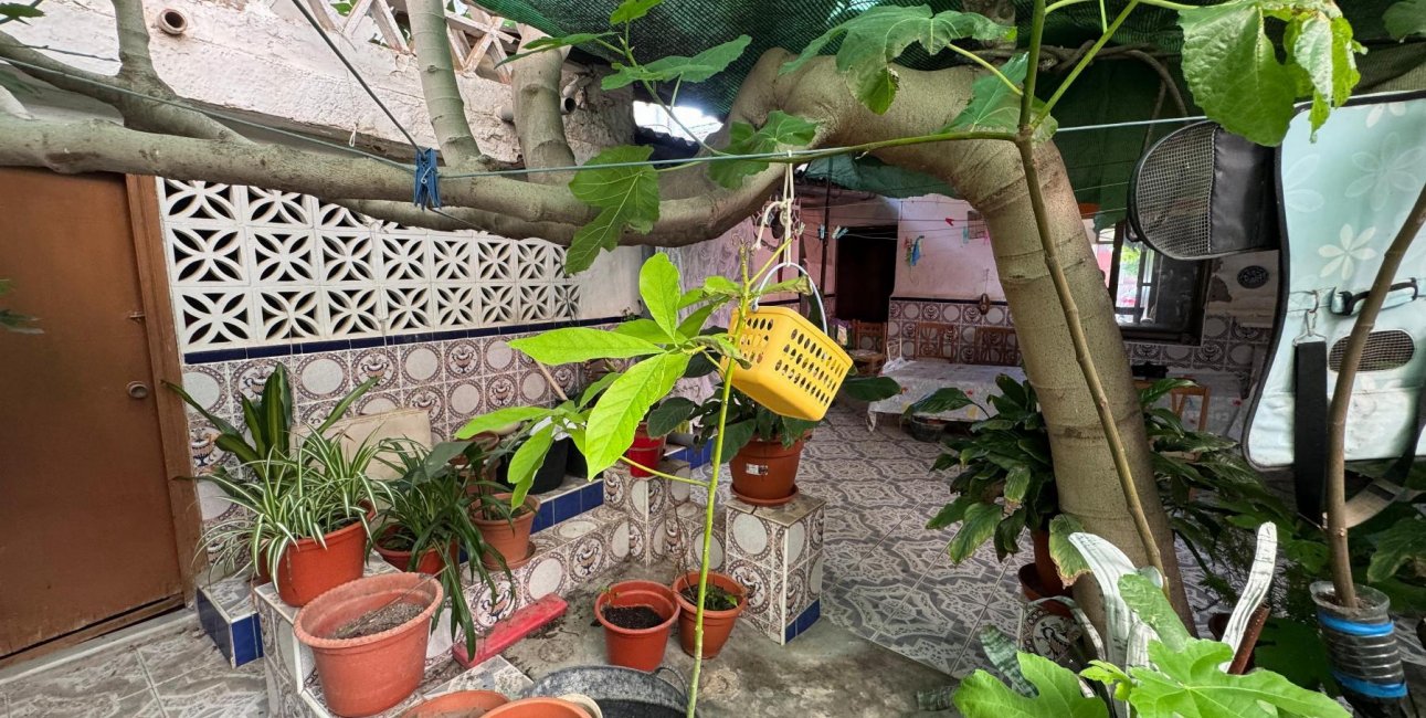 Rynek wtórny - Mieszkanie  -
Benejúzar