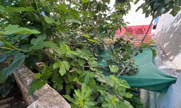 Rynek wtórny - Mieszkanie  -
Benejúzar