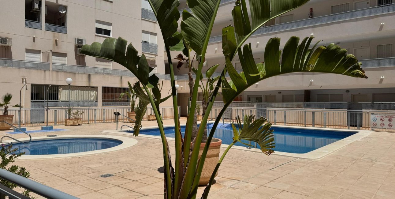 Reventa - Apartamento / piso -
Almoradí