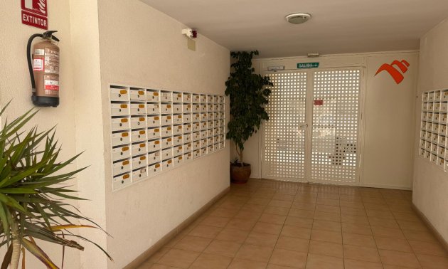 Reventa - Apartamento / piso -
Almoradí