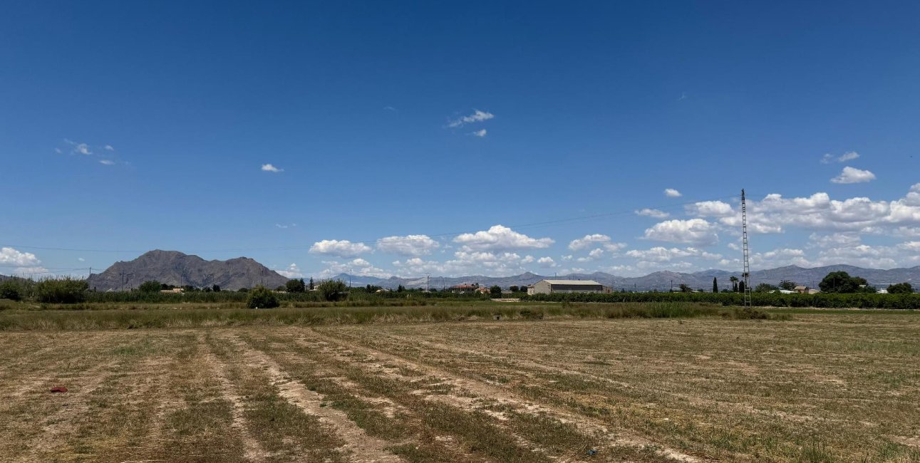 Reventa - Apartamento / piso -
Almoradí