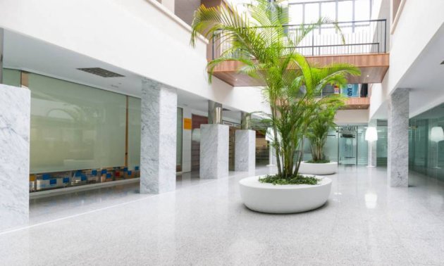 Wynajem długoterminowy - Lokal handlowy -
Orihuela Costa - Playa Flamenca