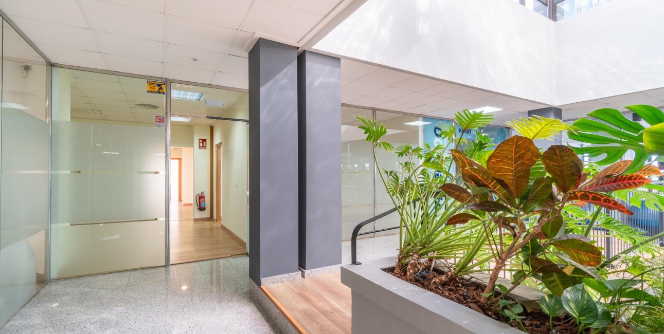 Wynajem długoterminowy - Lokal handlowy -
Orihuela Costa - Playa Flamenca