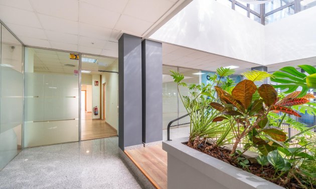 Wynajem długoterminowy - Lokal handlowy -
Orihuela Costa - Playa Flamenca