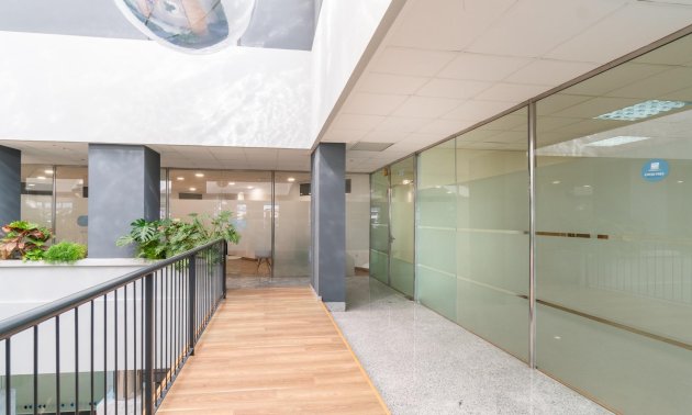 Wynajem długoterminowy - Lokal handlowy -
Orihuela Costa - Playa Flamenca