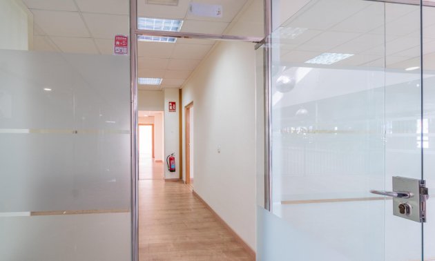 Wynajem długoterminowy - Lokal handlowy -
Orihuela Costa - Playa Flamenca