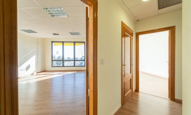 Wynajem długoterminowy - Lokal handlowy -
Orihuela Costa - Playa Flamenca