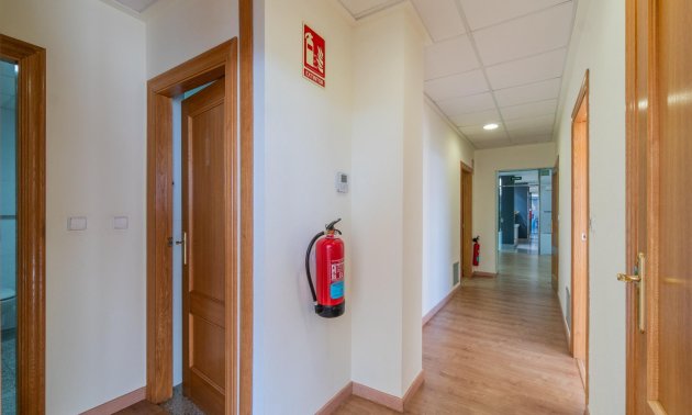 Wynajem długoterminowy - Lokal handlowy -
Orihuela Costa - Playa Flamenca