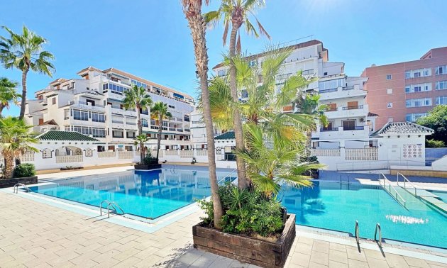 Resale - Apartment / flat -
La Mata - La Mata - Town