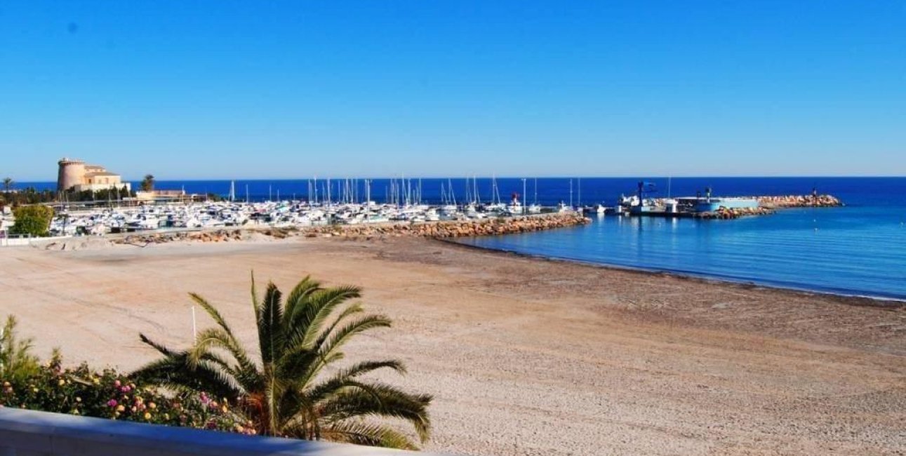 Obra nueva - Villa -
Pilar de la Horadada