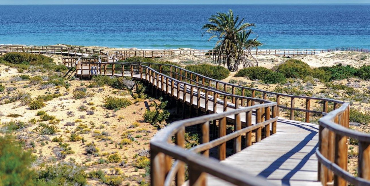 New Build - Penthouse -
Monforte del Cid - Alenda Golf