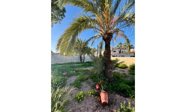 Rynek wtórny - Willa -
Torrevieja - Aguas Nuevas