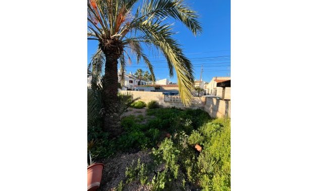 Rynek wtórny - Willa -
Torrevieja - Aguas Nuevas