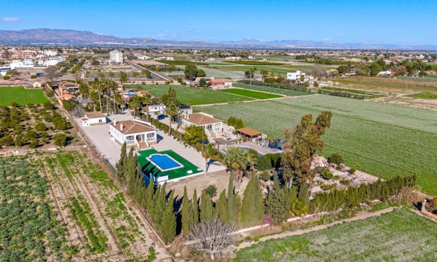 Reventa - Finca -
Dolores