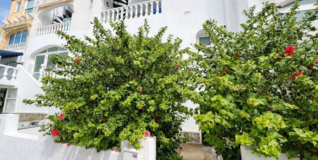 Reventa - Apartamento / piso -
San Miguel de Salinas - Las filipinas