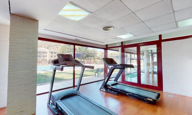 Obra nueva - Apartamento / piso -
Archena - Villanueva del Rio Segura