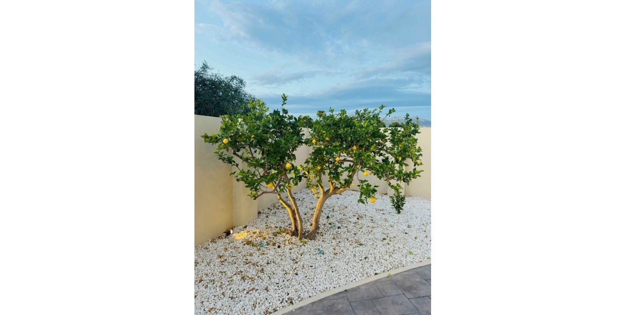 Resale - Villa -
Alfas del Pí - pueblo