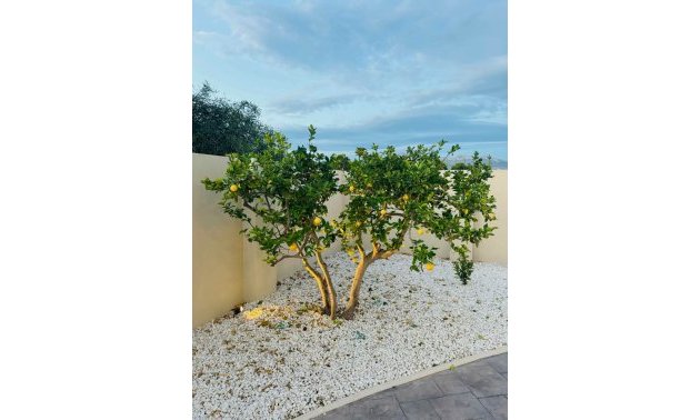 Resale - Villa -
Alfas del Pí - pueblo