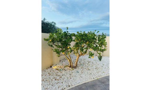 Resale - Villa -
Alfas del Pí - pueblo