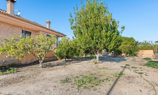 Resale - Country House -
Beniel - Beniel - Country