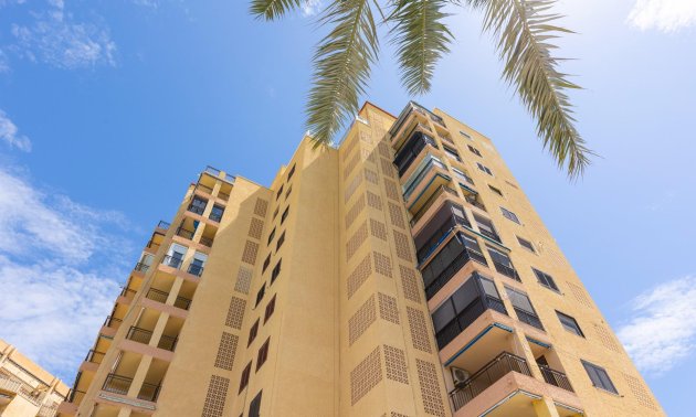 Reventa - Apartamento / piso -
Torrevieja - Playa del Cura