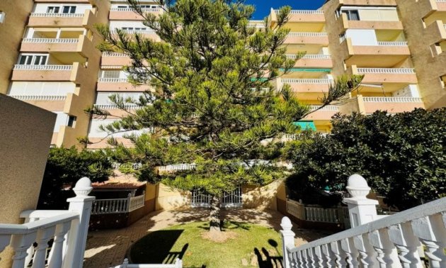 Resale - Penthouse -
Torrevieja - Alanis