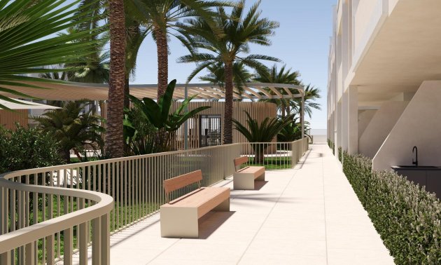 New Build - Apartment / flat -
Torre Pacheco - San Cayetano