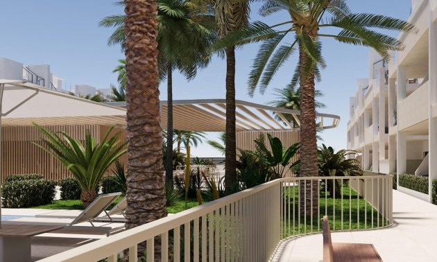 New Build - Apartment / flat -
Torre Pacheco - San Cayetano