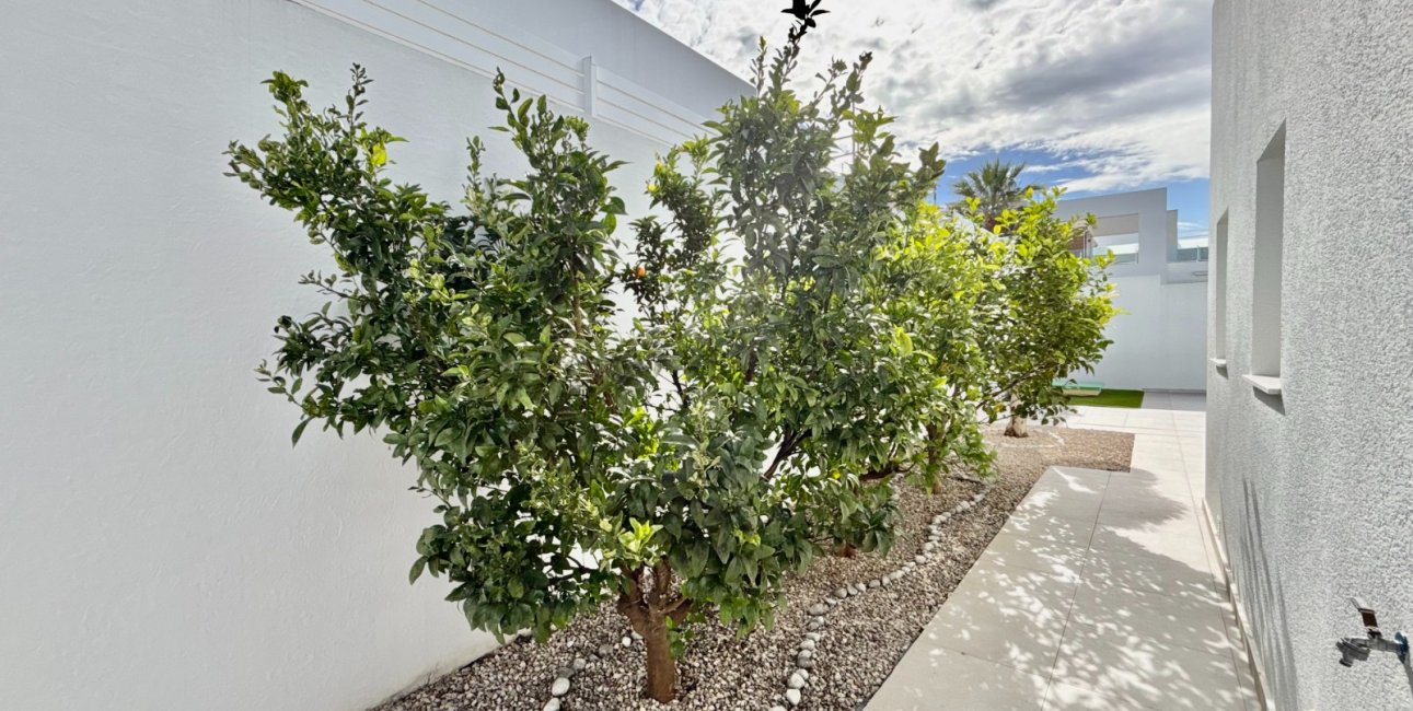 Rynek wtórny - Willa -
Benijofar - Benijofar - Village