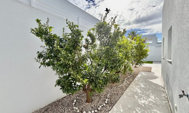 Rynek wtórny - Willa -
Benijofar - Benijofar - Village