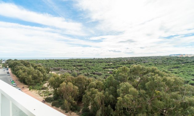 Resale - Apartment / flat -
Guardamar del Segura - Puerto Deportivo