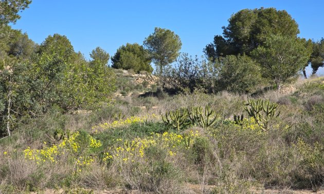 Resale - Apartment / flat -
Orihuela Costa - Villamartin