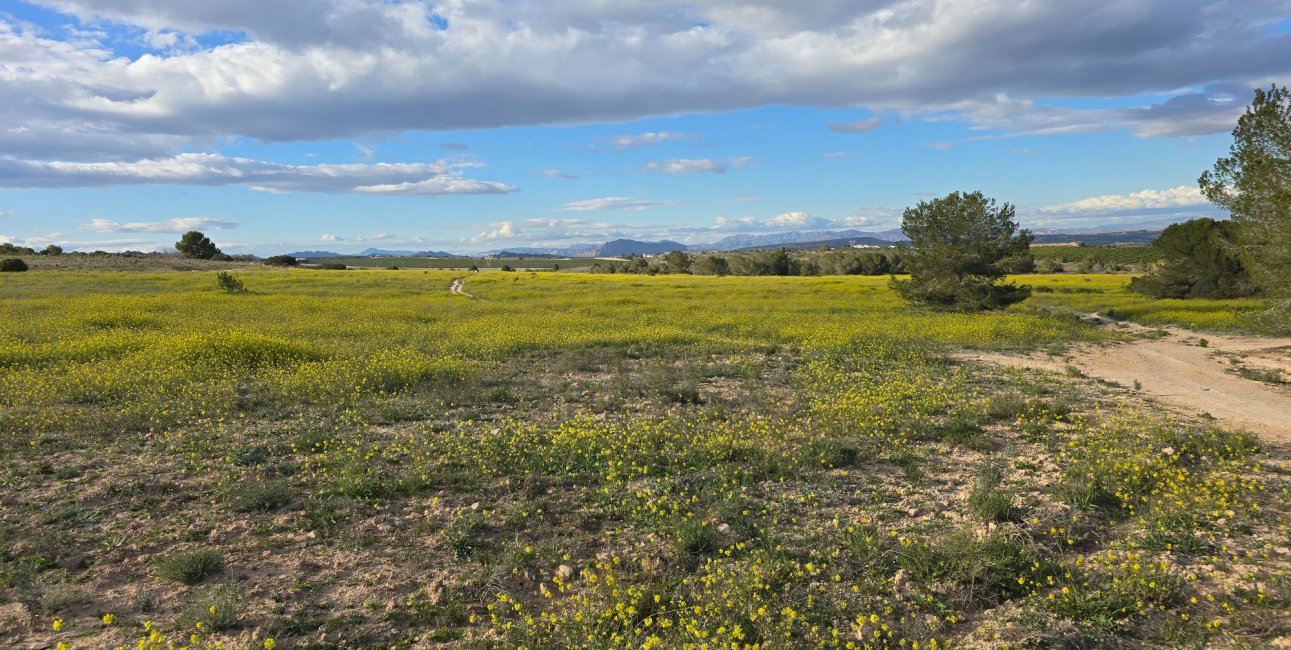 Resale - Apartment / flat -
Orihuela Costa - Villamartin