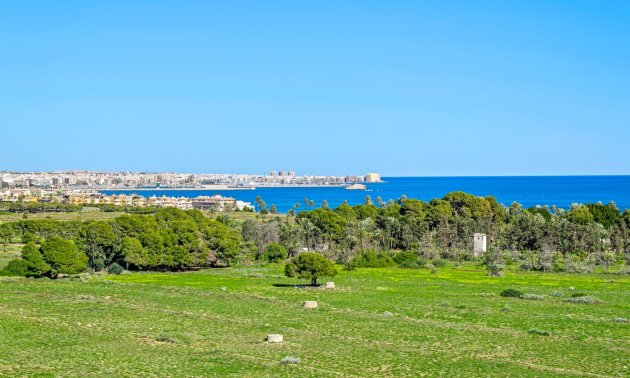 Resale - Apartment / flat -
Torrevieja - Rocio del Mar