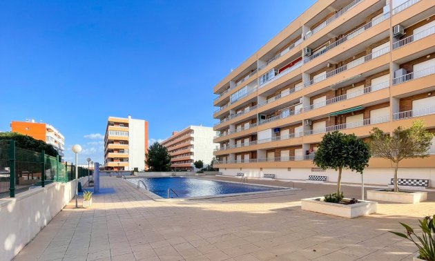Resale - Apartment / flat -
Torrevieja - Rocio del Mar