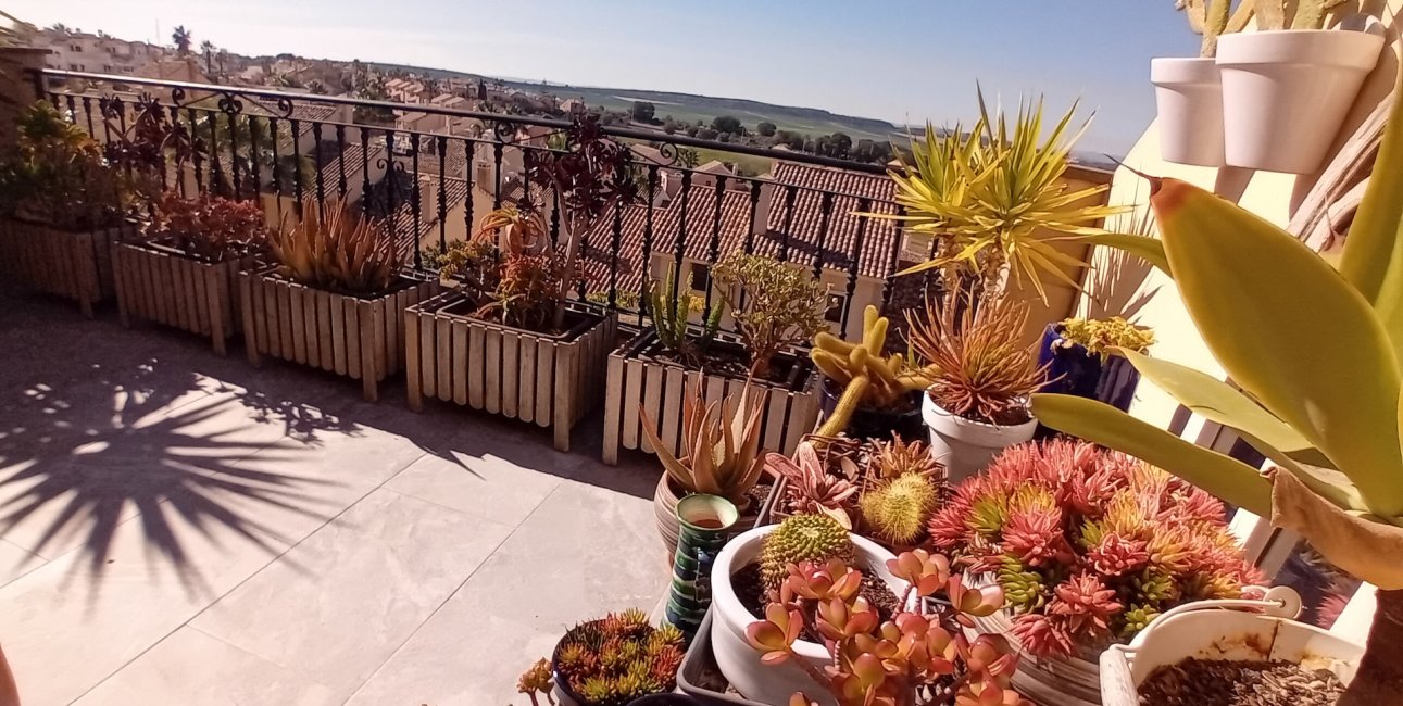 Resale - Townhouse -
Algorfa - La Finca Golf Resort