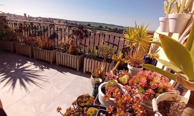 Resale - Townhouse -
Algorfa - La Finca Golf Resort