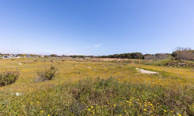 Resale - Bungalow -
Guardamar del Segura - Urbanizaciones