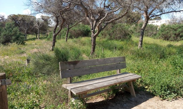 Resale - Bungalow -
Guardamar del Segura - Urbanizaciones