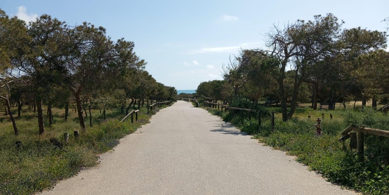 Resale - Bungalow -
Guardamar del Segura - Urbanizaciones