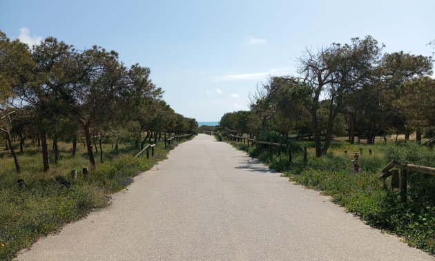 Resale - Bungalow -
Guardamar del Segura - Urbanizaciones