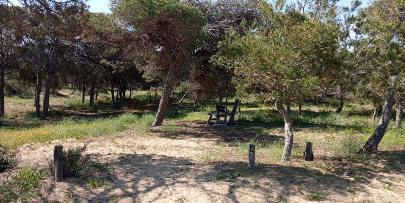 Resale - Bungalow -
Guardamar del Segura - Urbanizaciones