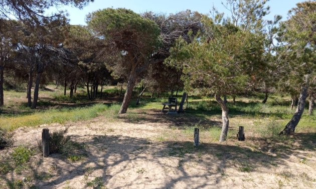 Resale - Bungalow -
Guardamar del Segura - Urbanizaciones