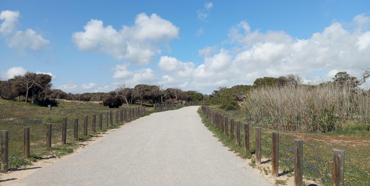 Resale - Bungalow -
Guardamar del Segura - Urbanizaciones