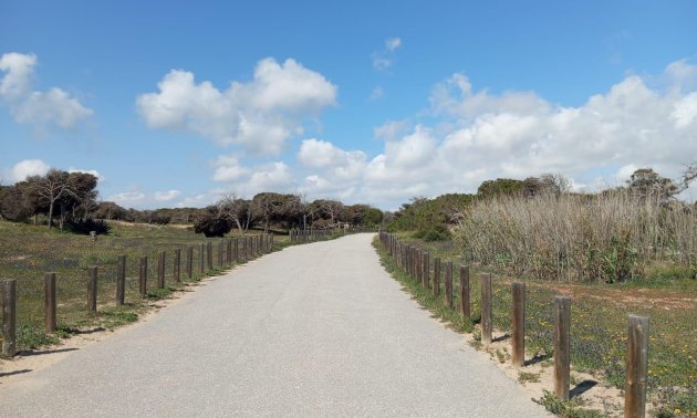 Resale - Bungalow -
Guardamar del Segura - Urbanizaciones