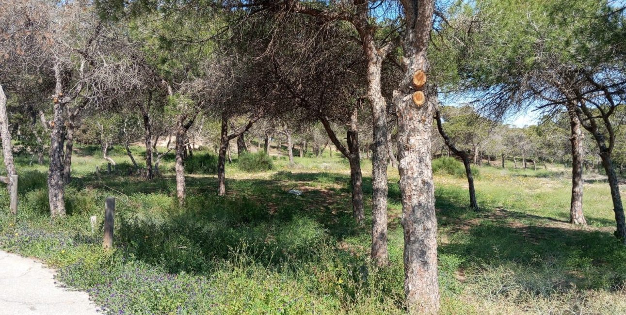 Resale - Bungalow -
Guardamar del Segura - Urbanizaciones