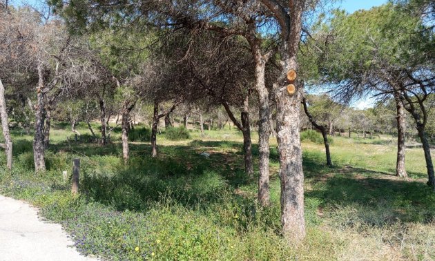 Resale - Bungalow -
Guardamar del Segura - Urbanizaciones