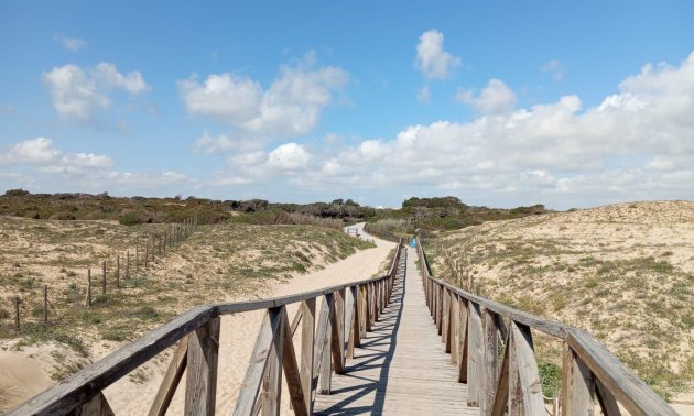 Resale - Bungalow -
Guardamar del Segura - Urbanizaciones