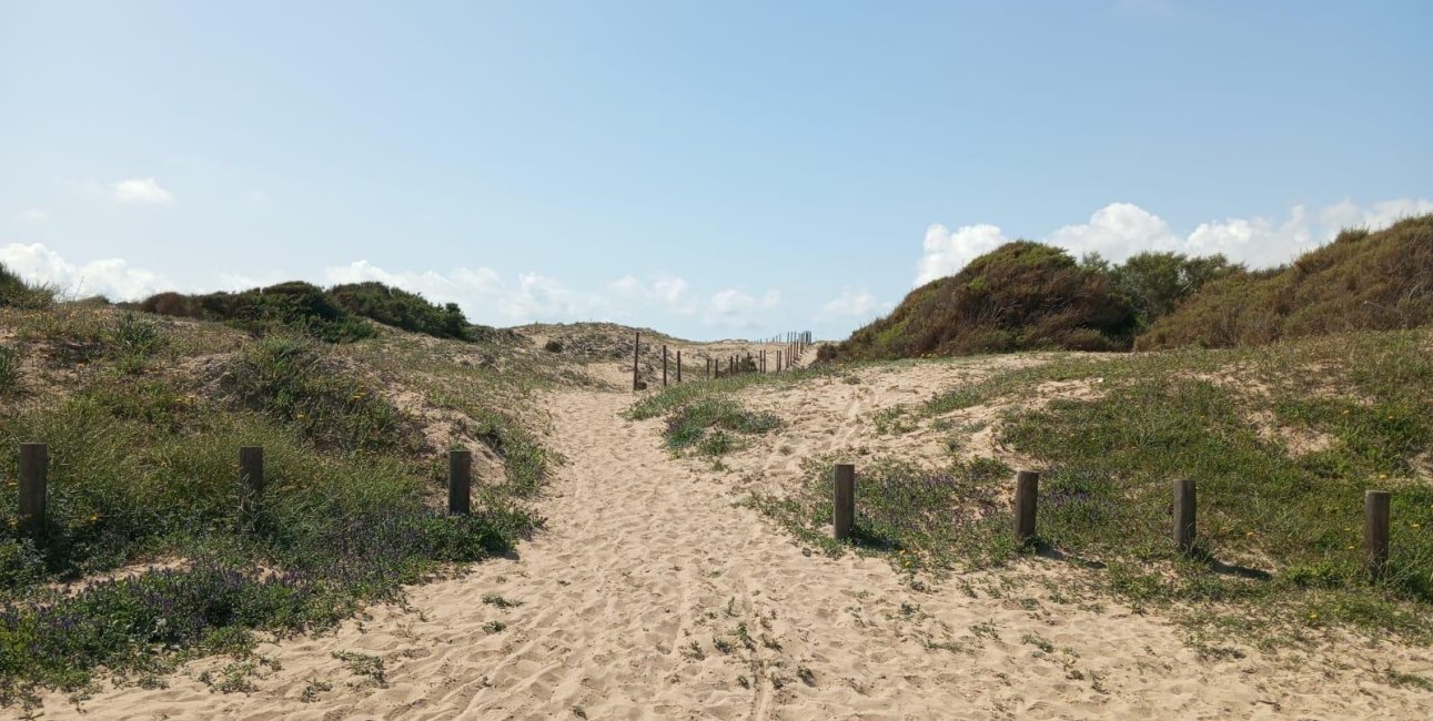 Resale - Bungalow -
Guardamar del Segura - Urbanizaciones